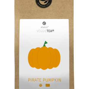 veggietea pirate pumpkin